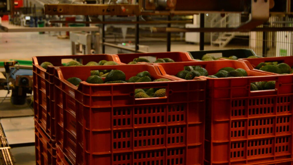 Expanding Uganda’s Agricultural Exports