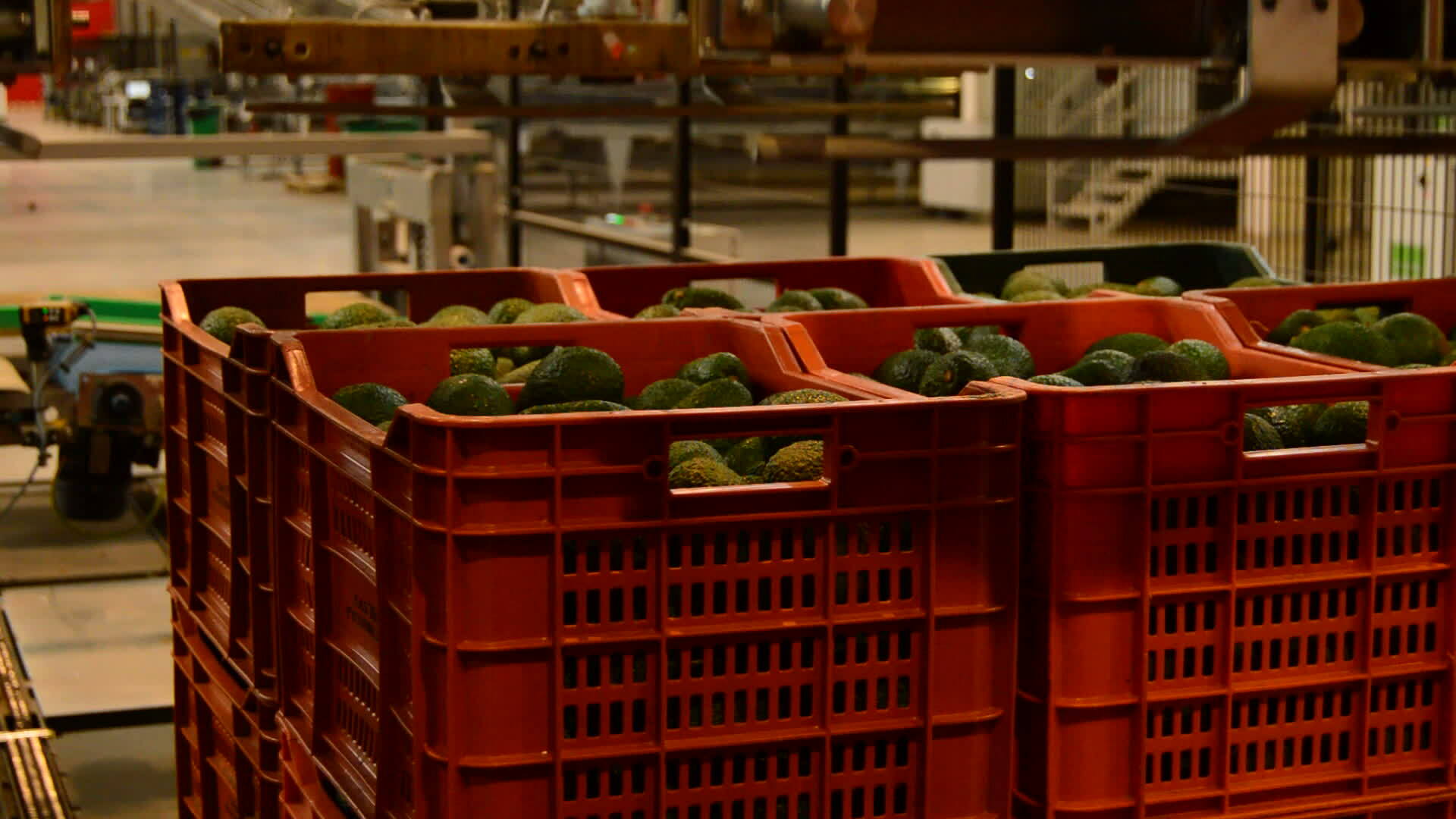 Expanding Uganda’s Agricultural Exports